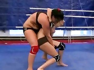 Sexy brunettes fighting
